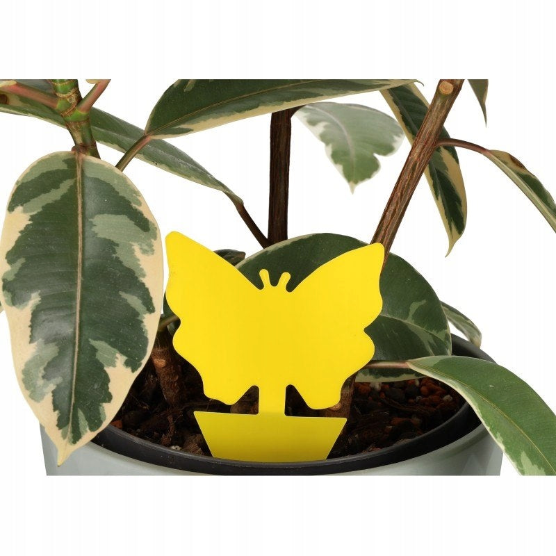 Aqbau stylowy nowoczesny lep na insekty owady do doniczek 13 x 8 cm
